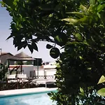 Appartement Joao Jungle