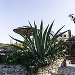 Joao Jungle Appartement