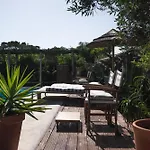 Joao Jungle Acafora