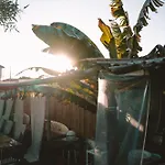 Joao Jungle Appartement *