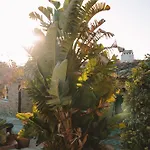 Appartement Joao Jungle