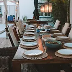 Joao Jungle * Acafora