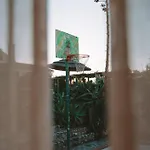 Appartement Joao Jungle
