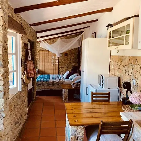 Apartment Joao Jungle