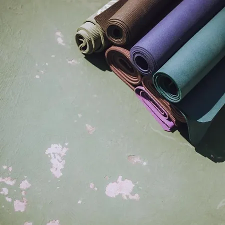 公寓 Joao Jungle *