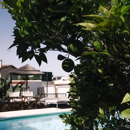 Διαμέρισμα Joao Jungle