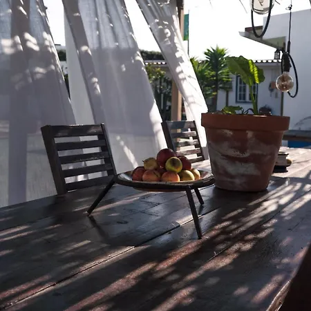 Joao Jungle Apartment Acafora