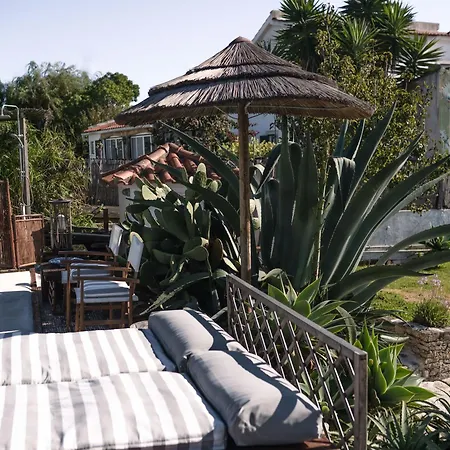 Joao Jungle Apartment Acafora