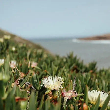 公寓 Joao Jungle Acafora