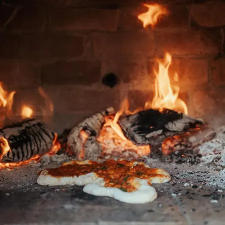 Joao Jungle 公寓 *