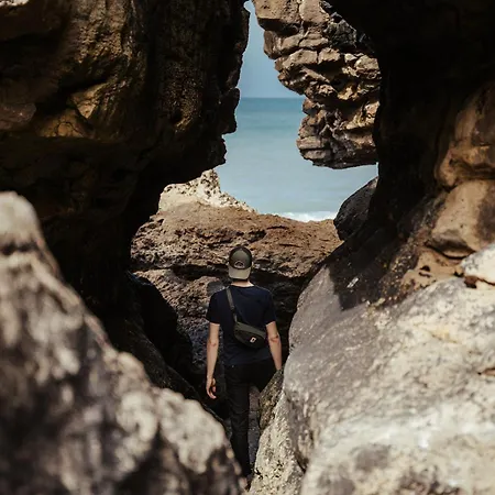 Joao Jungle 公寓 Acafora