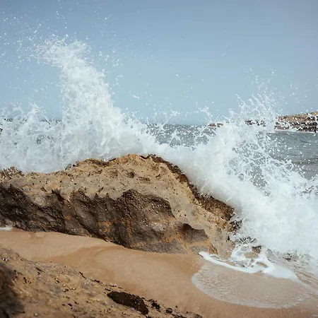 Joao Jungle 公寓 *