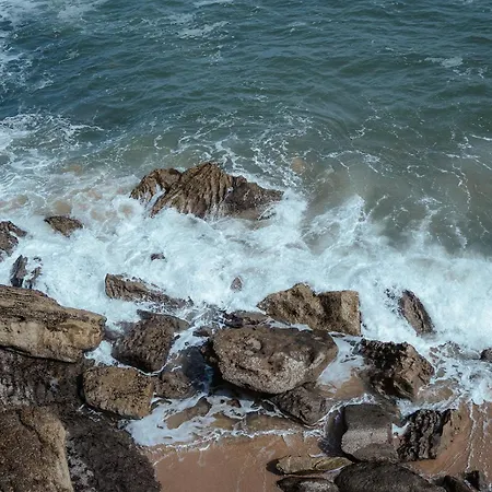 Joao Jungle * Acafora