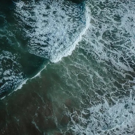 Joao Jungle 公寓 *