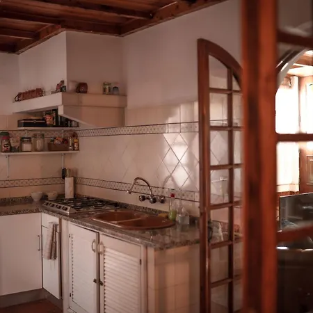 Apartment Joao Jungle