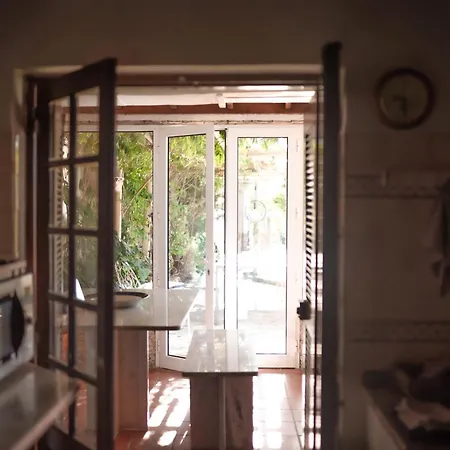 Joao Jungle * Acafora