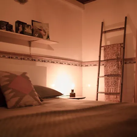 Joao Jungle Apartment *