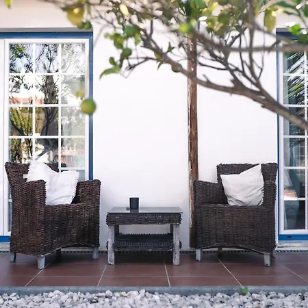 Joao Jungle * Acafora