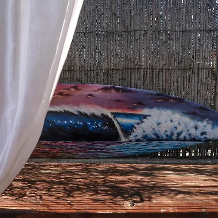 Joao Jungle 公寓 *