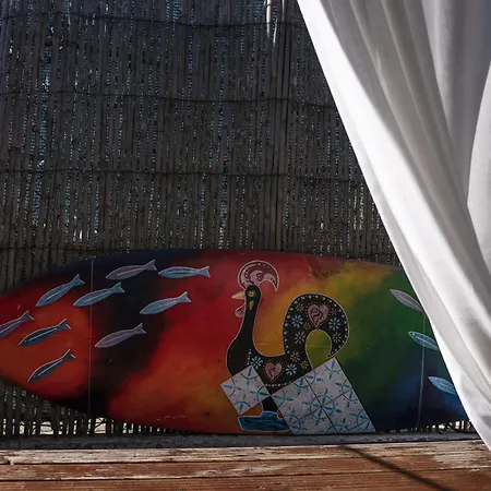 Apartment Joao Jungle