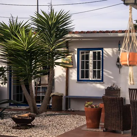 Apartment Joao Jungle *