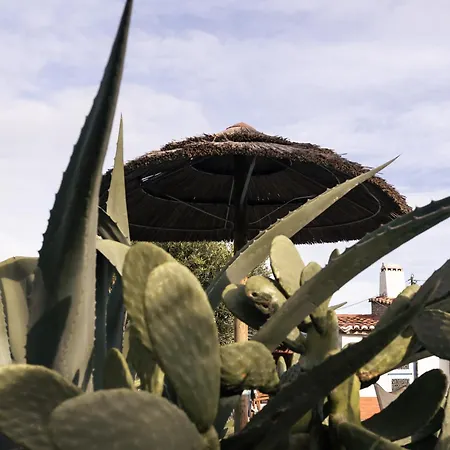 公寓 Joao Jungle *