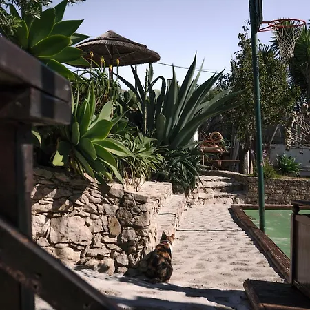 Διαμέρισμα Joao Jungle