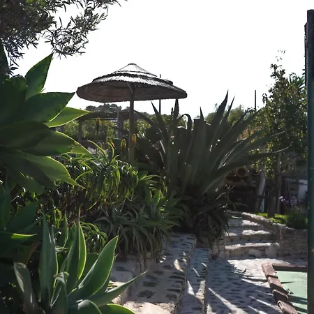 Joao Jungle Apartment