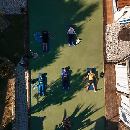 Joao Jungle * Acafora