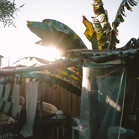 Joao Jungle Διαμέρισμα *