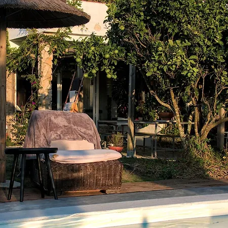 Joao Jungle * Acafora