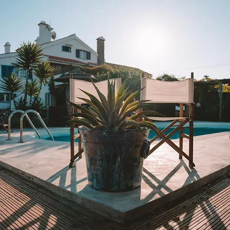 Joao Jungle * Acafora