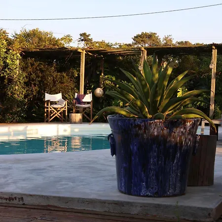 Apartament Joao Jungle *