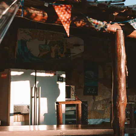 Joao Jungle * Acafora