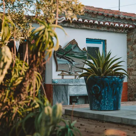 Joao Jungle * Acafora