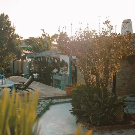 Joao Jungle * Acafora