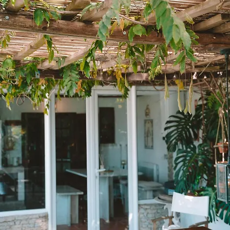 Joao Jungle Διαμέρισμα *