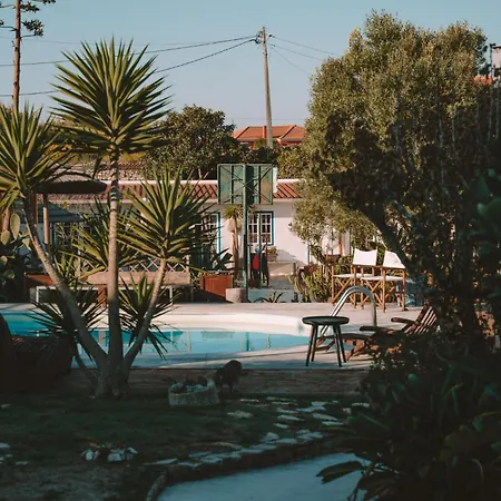Apartament Joao Jungle