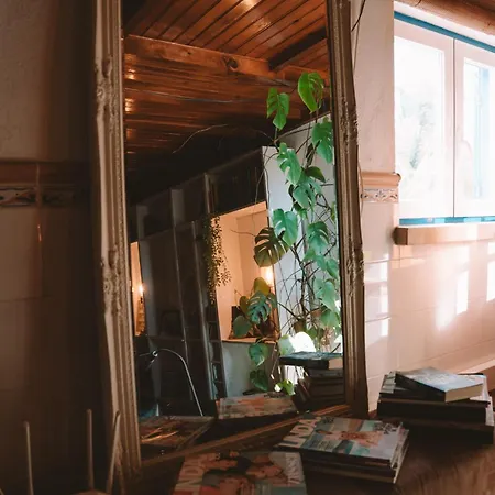 Διαμέρισμα Joao Jungle *