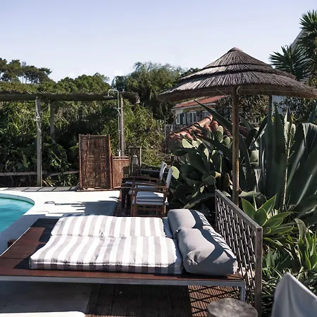 Joao Jungle Appartement