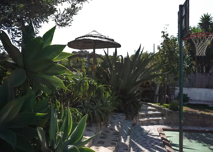 Joao Jungle Apartment