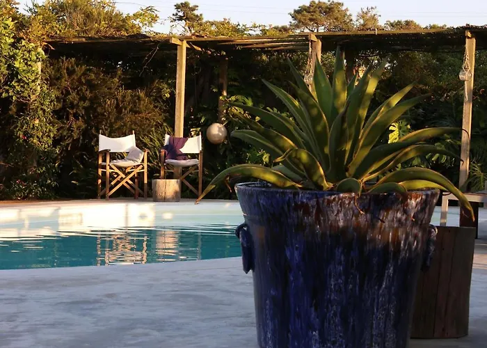 Appartement Joao Jungle *