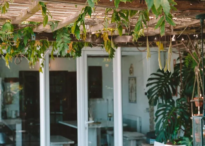 Joao Jungle Appartement *