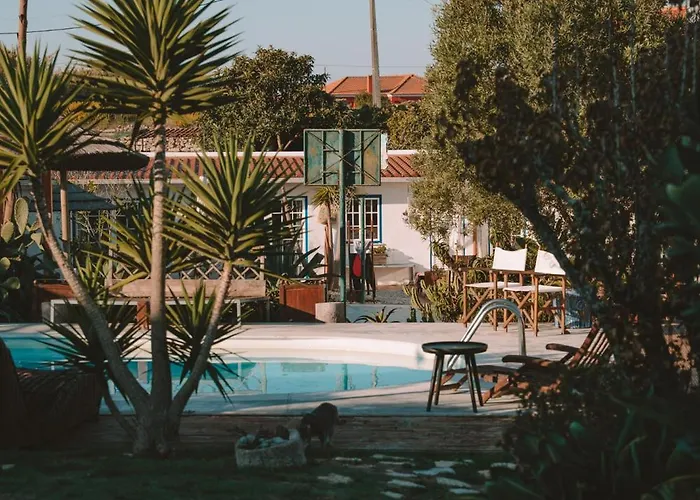 Appartement Joao Jungle