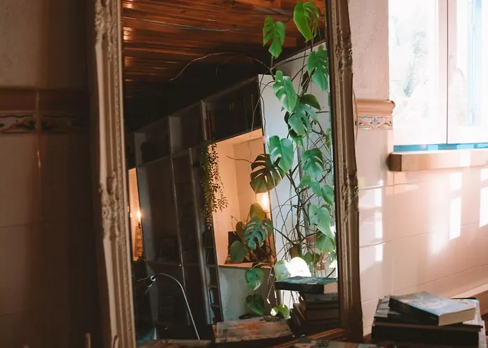 Appartement Joao Jungle *